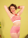 Red Gingham Knickers 063