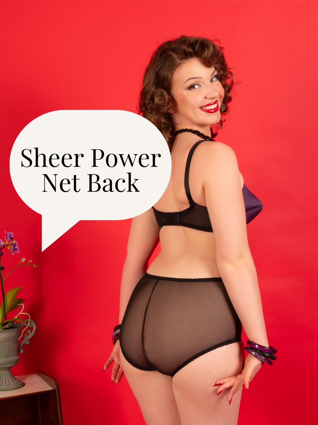 Woman wearing lingerie with a speech bubble saying 'Sheer Power Net Back' on a red background